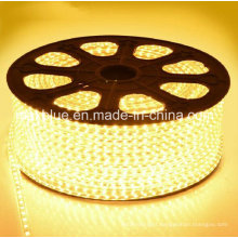 3014 120LEDs/M AC220V Waterproof LED Strip Lighting